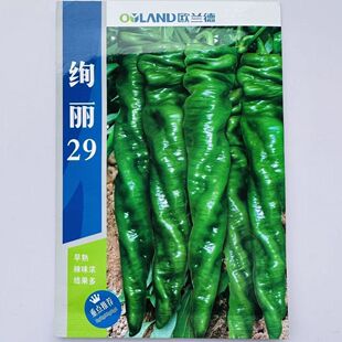 播 欧兰德绚丽29螺丝椒种子杂交早熟香辣口感好辣椒种籽农家春秋季