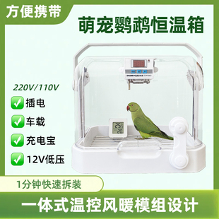 手养虎皮牡丹小太阳鹦鹉育雏幼鸟外带便携式小型风暖保温控恒温箱