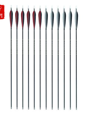 阿利弓箭碳素箭千一箭千三箭竞技射击比赛传统弓箭弹射户外运动玩