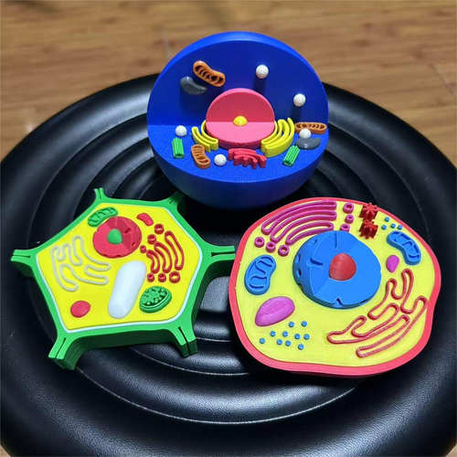 3D打印植物细胞初中模型动物细胞高中生物课作业材料可自粘教学