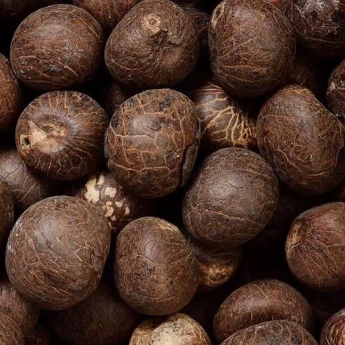 天然象牙果原果大中小果雕刻原料