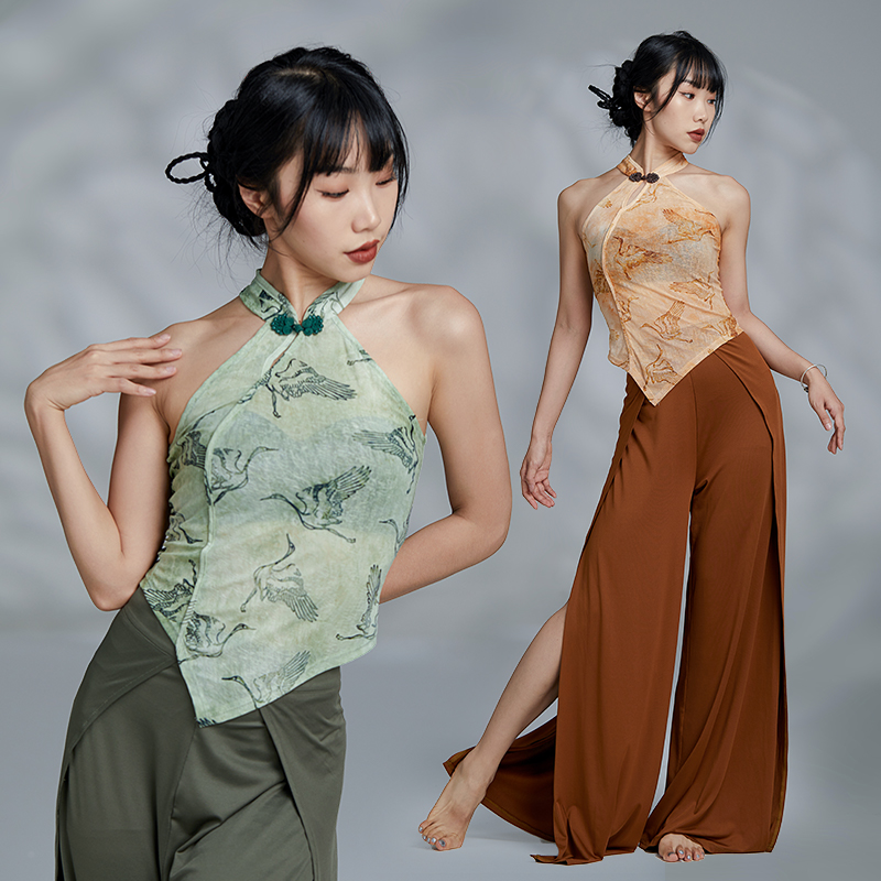 华丽独秀古典舞古风爵士旗袍上衣练功服新中式形体服现代舞蹈服装