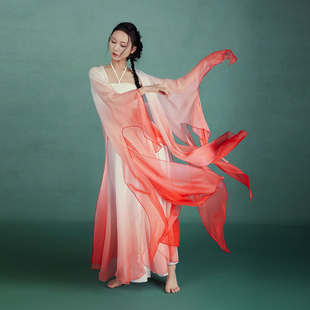 华丽独秀古典舞破烂袖纱衣外披套装古风爵士飘逸仙气舞蹈服演出服