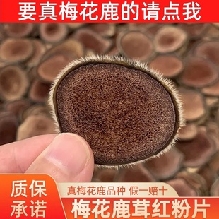整根吉林鹿茸泡酒煲湯一手貨 楓木正宗梅花鹿鹿茸片主角紅粉片正品