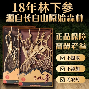 长白山18年林下籽参东北生晒整支林下参人参年老山参煲汤泡酒正品