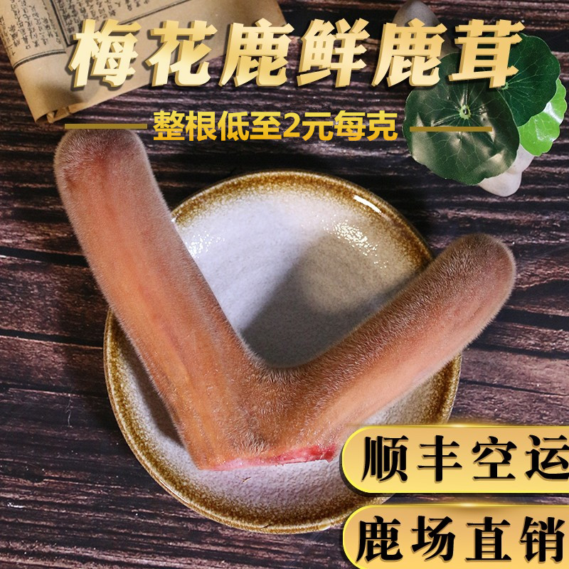 正宗鲜鹿茸带血整枝可切连刀泡酒