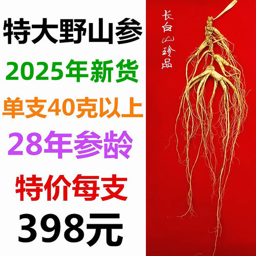特大山参稀有40克正宗东北林下参