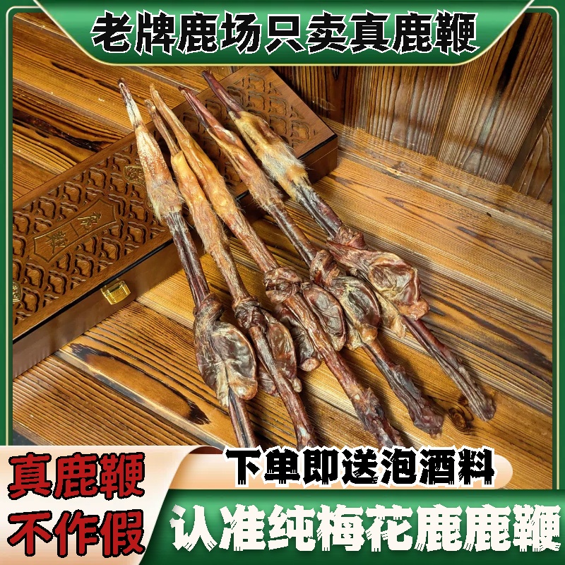 枫木梅花鹿鞭送礼泡酒煲汤