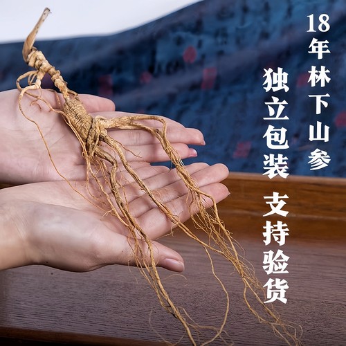 正宗18年林下参山参长白山源产地