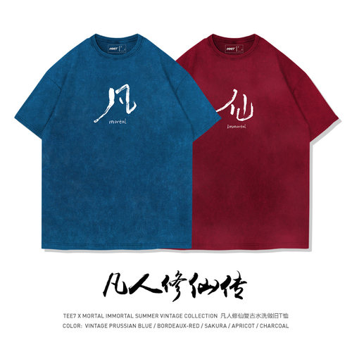 TEE7-七夕国漫凡人修仙极简道侣装短袖T恤水洗做旧纯棉国潮情侣