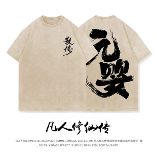 婴水墨书法国潮水洗做旧纯棉短袖 国漫凡人修仙韩立元 T恤 经典 TEE7