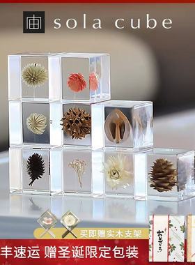 日本进口正品sola植物标本Sola cube永生花树脂摆件情人节礼物