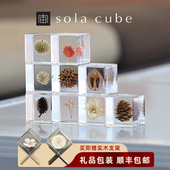 日本进口正品 sola植物标本Sola cube永生花树脂摆件情人节礼物