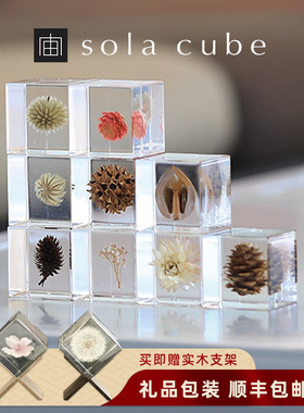 日本进口正品sola植物标本Sola cube永生花树脂摆件情人节礼物