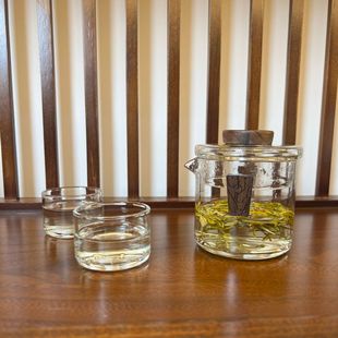 玻璃小茶壶泡茶家用单壶防烫手抓壶红茶泡茶器旅行茶具快客杯