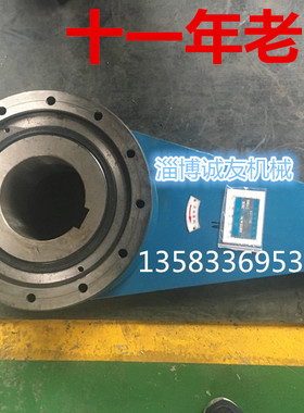 淄博厂家直销NYD160接触式逆止器 NJ160低速止退器