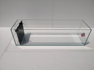 侧溢流 金晶超白 溪流缸 金鱼缸 底滤鱼缸  原生态超薄鱼缸