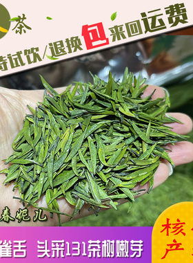 2026新茶雀舌四川雅安蒙顶茶