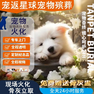 上海宠物单独火化殡葬上门服务猫咪狗狗兔子动物善后留骨灰服务