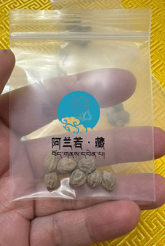 佐钦阿惹7颗