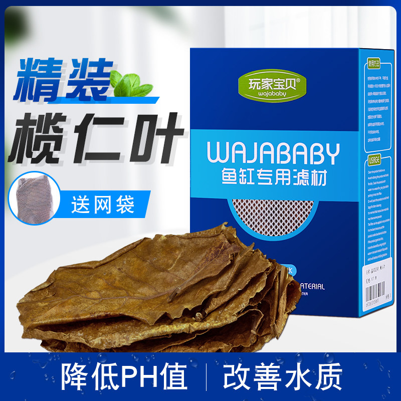 榄仁叶水族鱼缸PH酸碱度调节懒人叶降酸改善水质树叶揽仁叶斗鱼_虎窝淘
