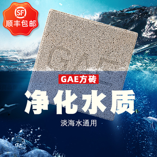 台湾GAE方砖去除NO3神砖培菌水族鱼池反硝化细菌鱼缸过滤材料净水