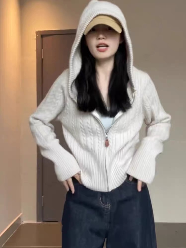 纯羊毛连帽羊绒开衫韩系重磅麻花百搭显瘦针织羊绒外套上衣女秋冬