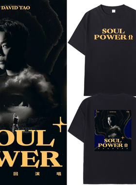 陶喆同款SoulPower演唱会2026周边短袖T恤男女应援体恤宽松上衣服