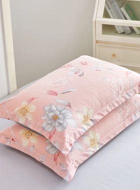 枕套成人家用全棉枕头套大人48x74枕芯内胆套2026新款