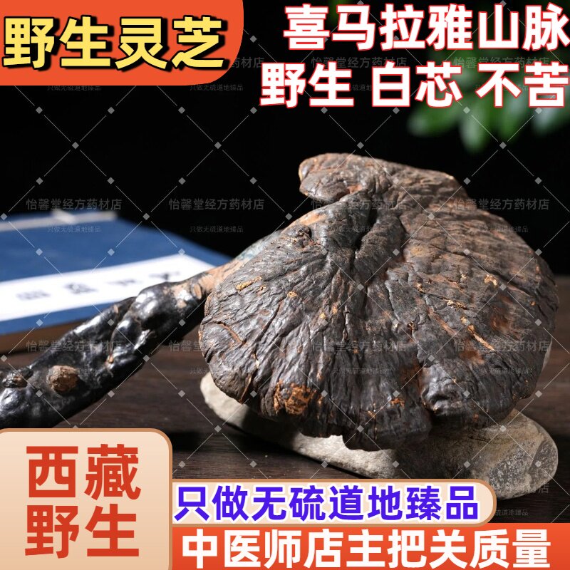 怡馨堂野生白心灵芝正品西藏纯野生灵芝白肉赤芝干货天然整枝500g
