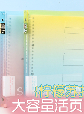 日本maruman满乐文活页本session淡彩活页本分类新色夏日柠檬