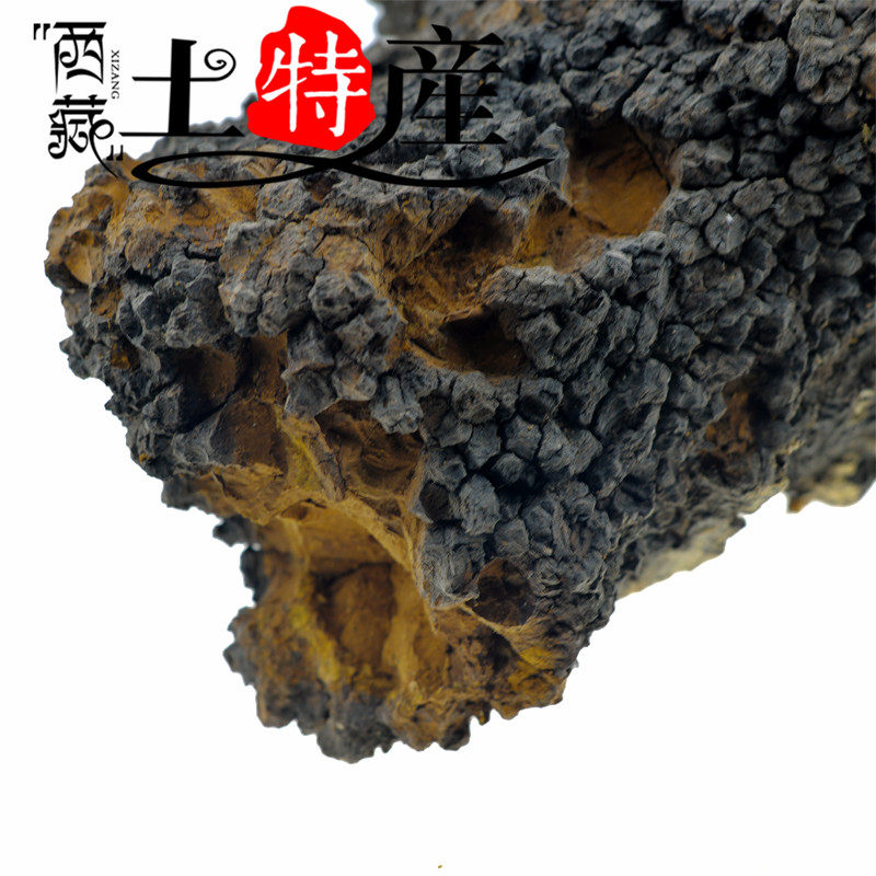 西藏灵芝干货西藏桦褐灵芝桦褐孔菌500克168元包邮