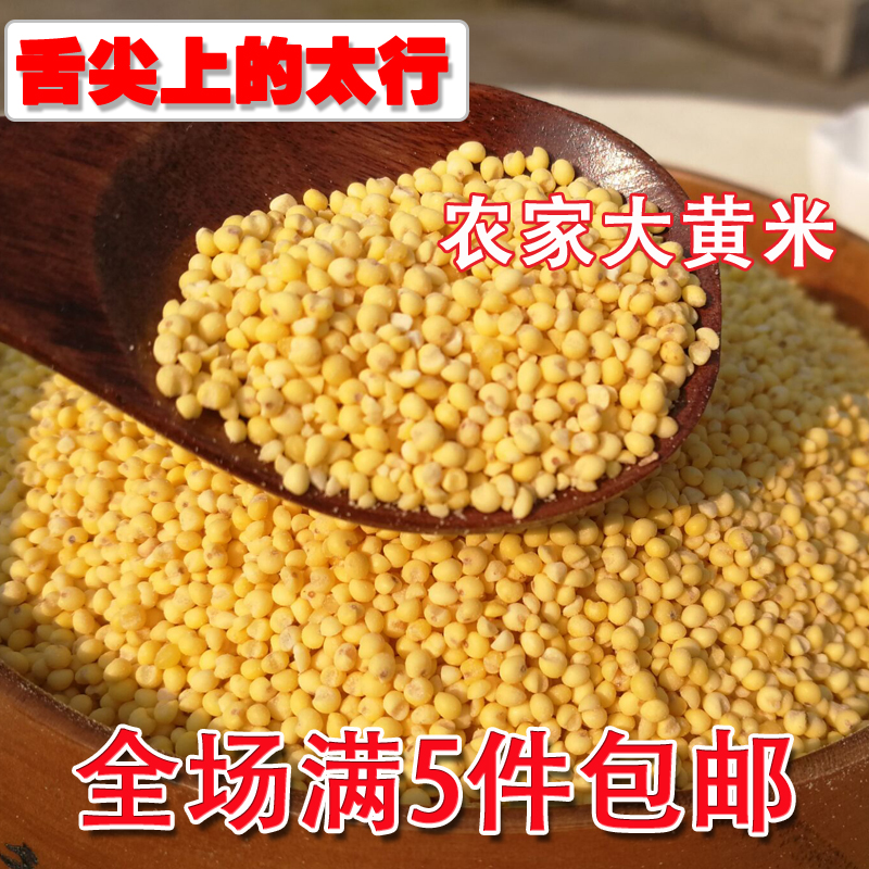 农家大黄米500g黍子非粘煮粥