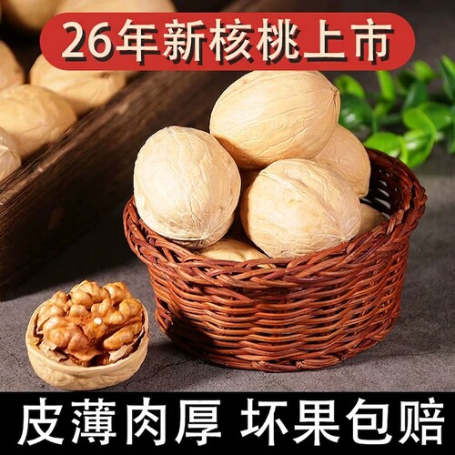 2026年新疆纸皮核桃新货