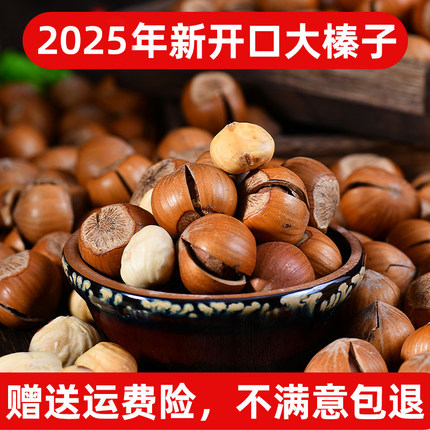 东北特产铁岭新货无添加原味开口薄皮大榛子新鲜新年零食炒货坚果