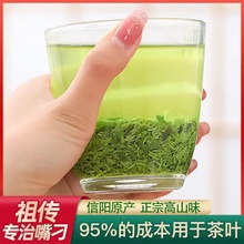 国乐信阳毛尖2025新茶叶特级碎茶明前断芽高碎嫩芽茶沫浓香口粮茶