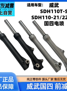适用新大洲本田SDH110-21-22-23-25威武wave110TS前减震器前叉