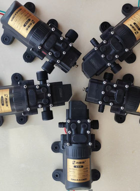 12V微型水泵农用电动喷雾器隔膜泵信利达德外回流电机茶艺抽水泵