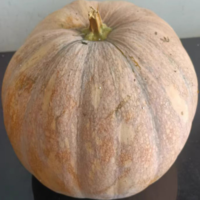 老南瓜粉糯甜农家自种磨盘圆南瓜新鲜老品种老黄南瓜蔬菜新鲜辅食