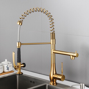 拉丝金水龙头水槽全铜冷热伸缩可旋转拉伸式弹簧厨房洗菜盆双出水