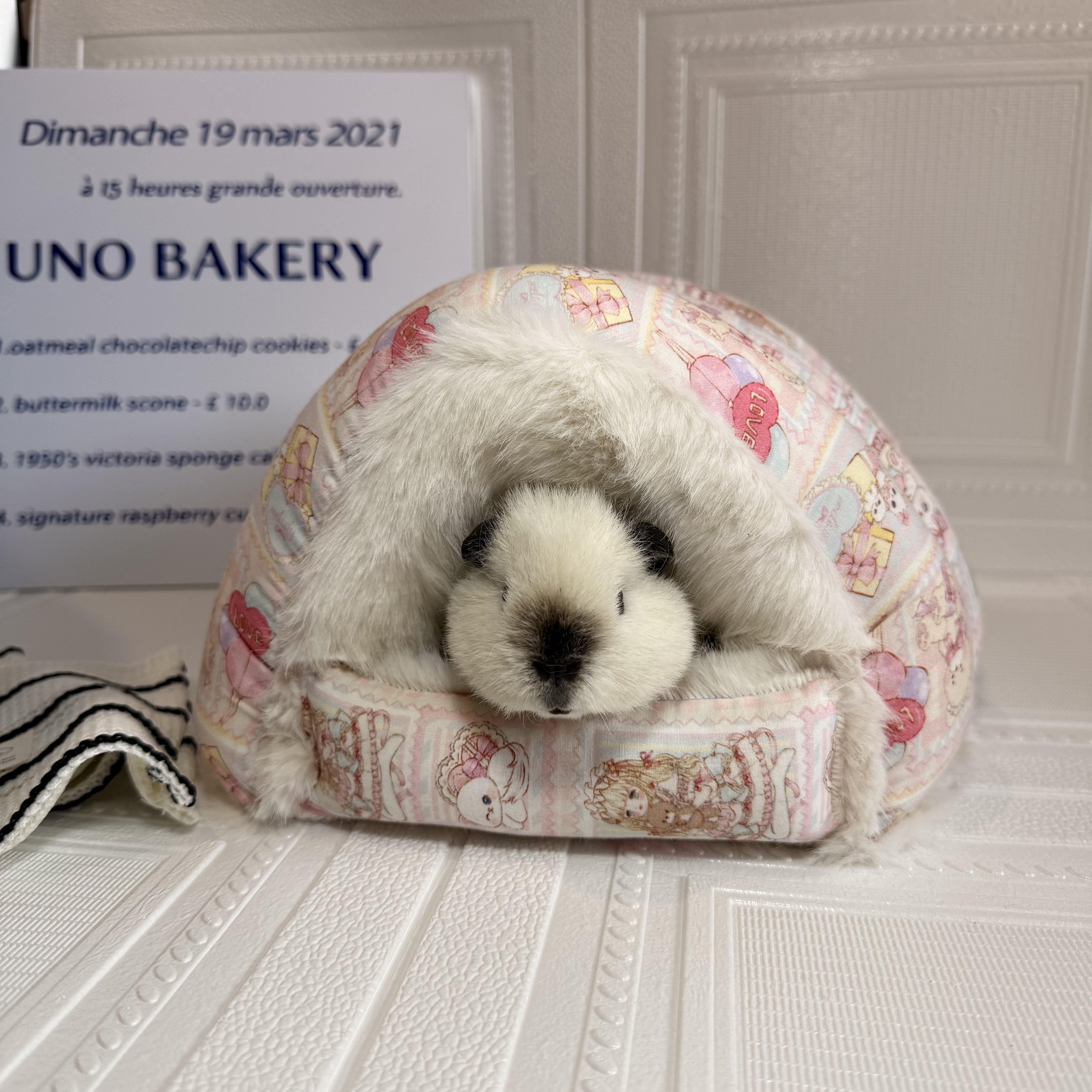 荷兰猪无底棉窝过冬加绒保暖窝