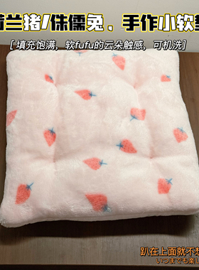 荷兰猪侏儒兔刺猬宠物法兰绒软垫子双层保暖龙猫兔子睡窝垫趴趴垫