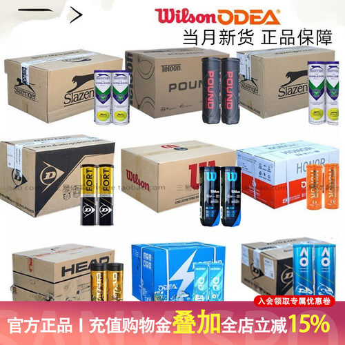 邓禄普施莱辛格威尔逊网球