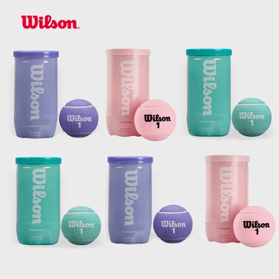 Wilson威尔胜2024新款威尔逊限定粉色比赛网球多场地用球2只装
