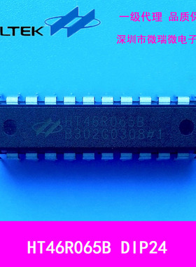 HT46R065B 24DIP