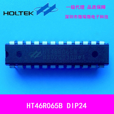 HT46R065B 24DIP