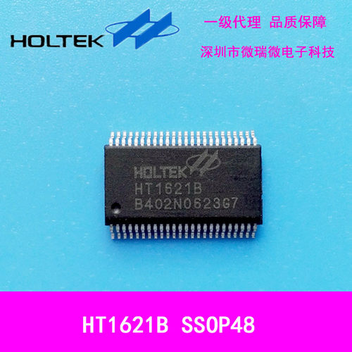 HT1621B  SSOP48