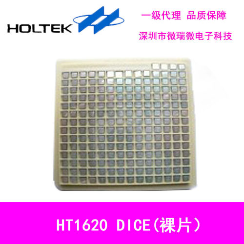 HT1620  DICE(裸片)