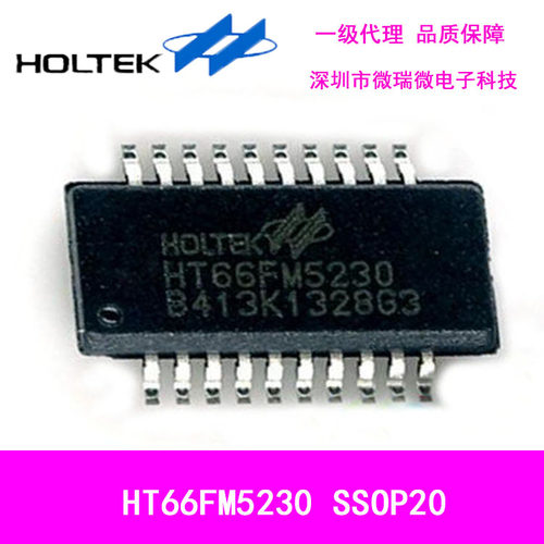 原装合泰HT66FM5230  SSOP20无刷直流马达型Flash单片机