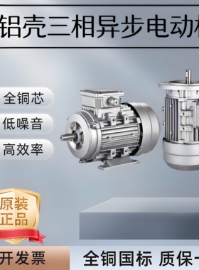 铝壳电机YS8024 0.75kw/1.1kw//1YS7124 0.37kw全铜国标B14/B5/B3